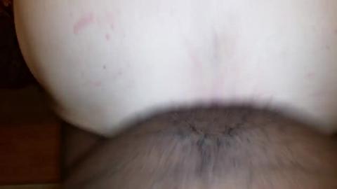 48233